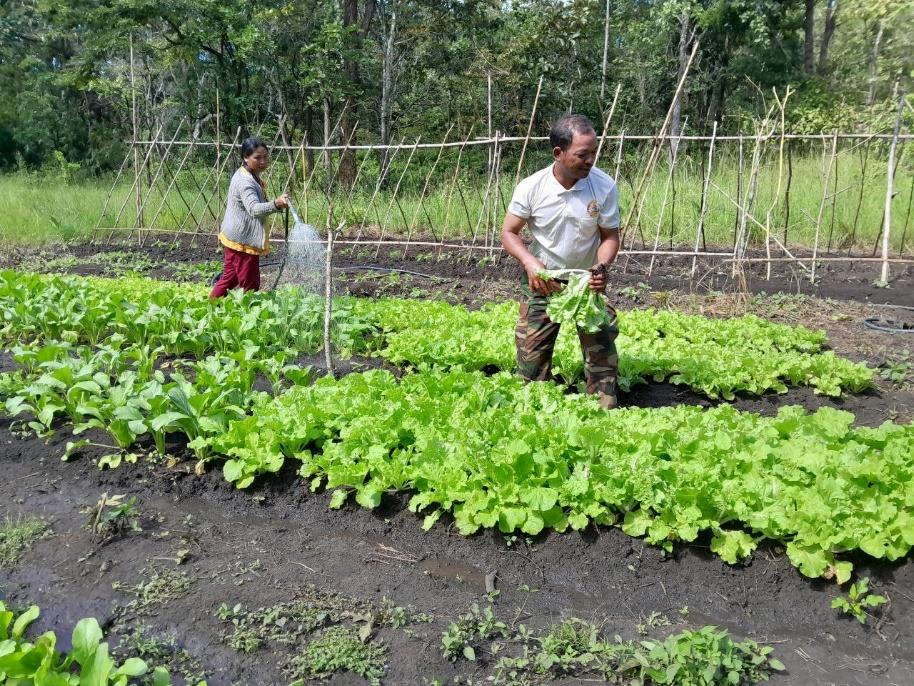 Comment puis-je soutenir efficacement les agriculteurs locaux 5 Comment puis-je soutenir efficacement les agriculteurs locaux