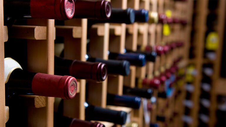 Comment investir judicieusement dans les vins de collection 60 bouteilles de vin dans une cave elegante 1