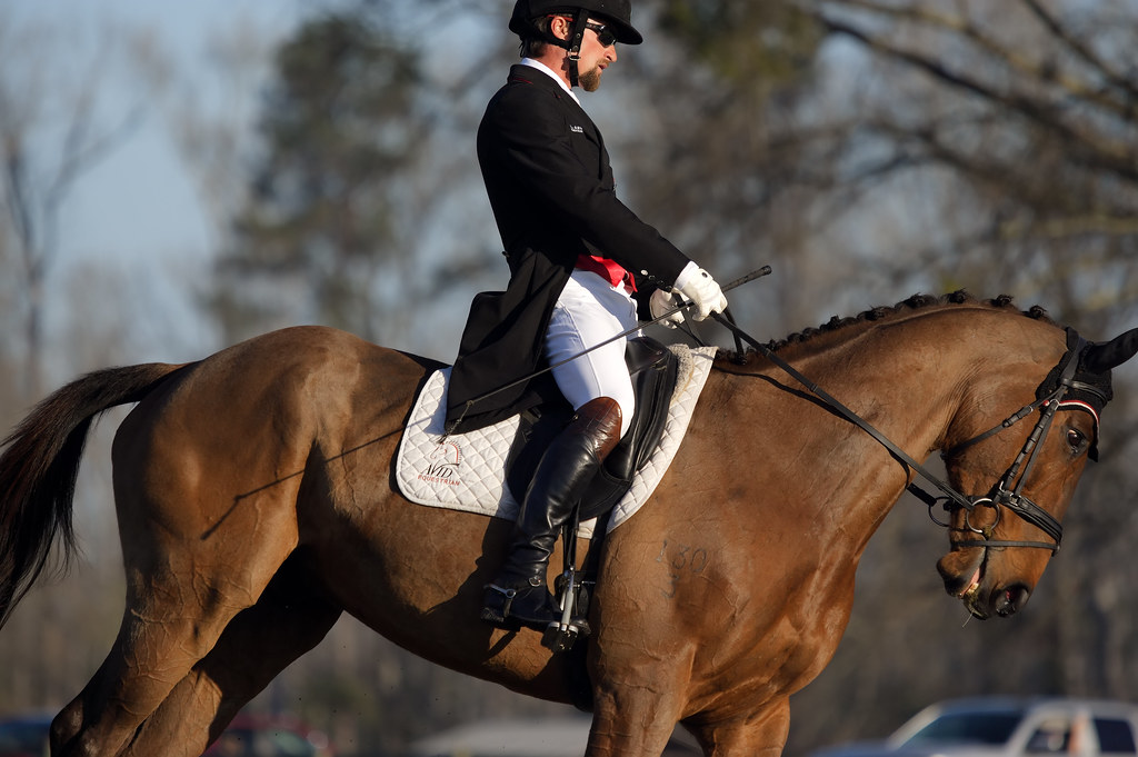 Quelle est la meilleure formation à suivre au Haras du Pin