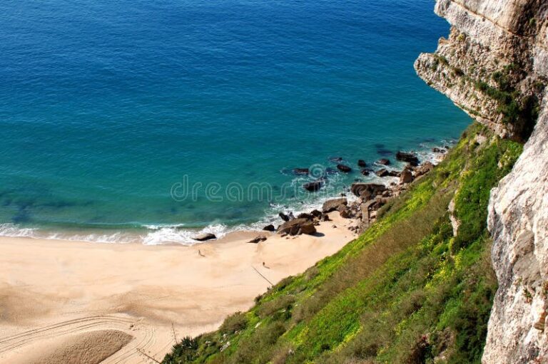 Que faut-il savoir sur le retour sur la cote ouest 29 cote ouest avec paysages cotiers magnifiques