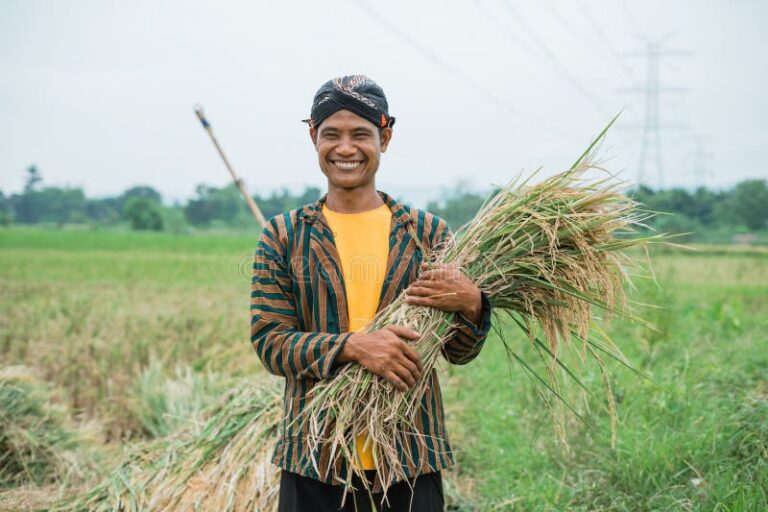 des agriculteurs souriants avec des recoltes abondantes
