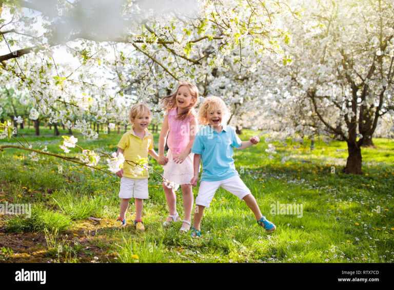 des enfants jouant dans un jardin ensoleille