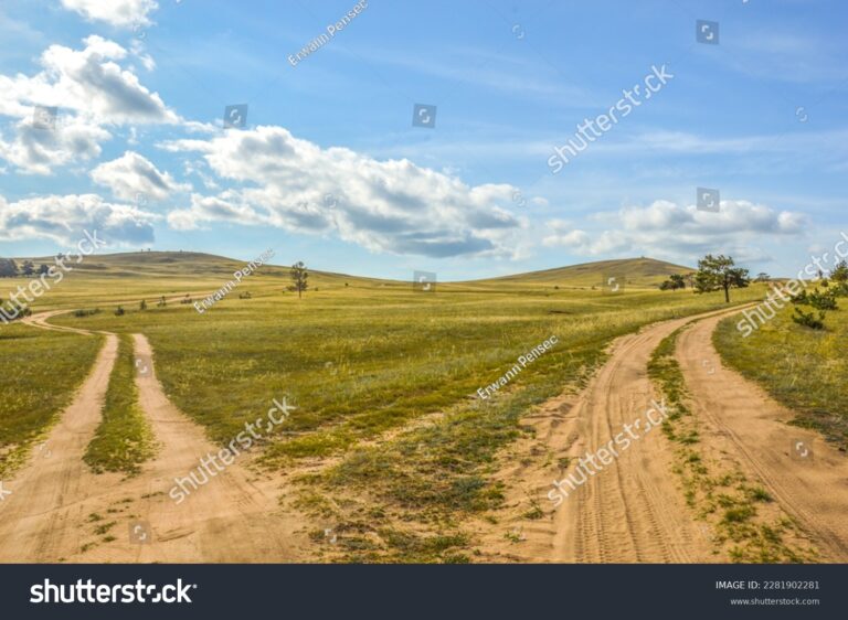 deux chemins divergents dans un paysage