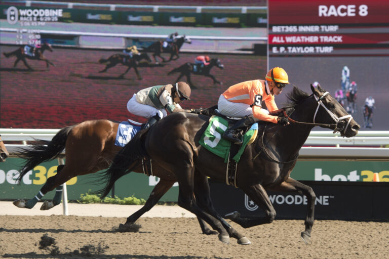 duo de chevaux lors dune course