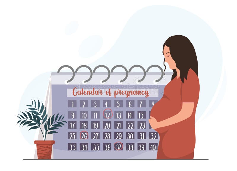 Comment fonctionne le report des congés payés pendant le congé maternité