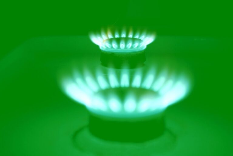 Le gaz naturel est-il une source d'énergie renouvelable ou non 1 flamme de gaz naturel sur fond vert