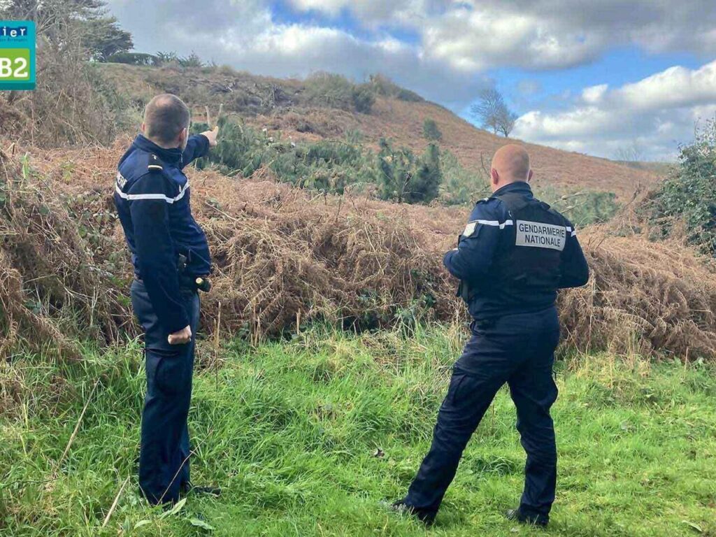 Quels sont les articles du code pénal sur la violation abusive par les gendarmes