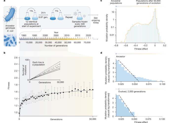 Quel est le ratio Cours/Bénéfice (PE) et comment l’interpréter