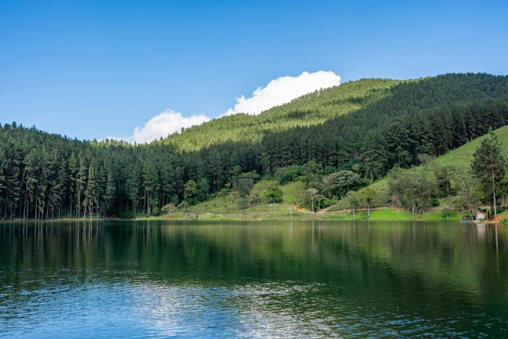 Que découvrir au Parc de la Forêt d'Orient 3 Que découvrir au Parc de la Forêt d’Orient