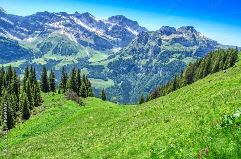 Pourquoi visiter La Chapelle d'Abondance en été 1 paysage alpin verdoyant en ete