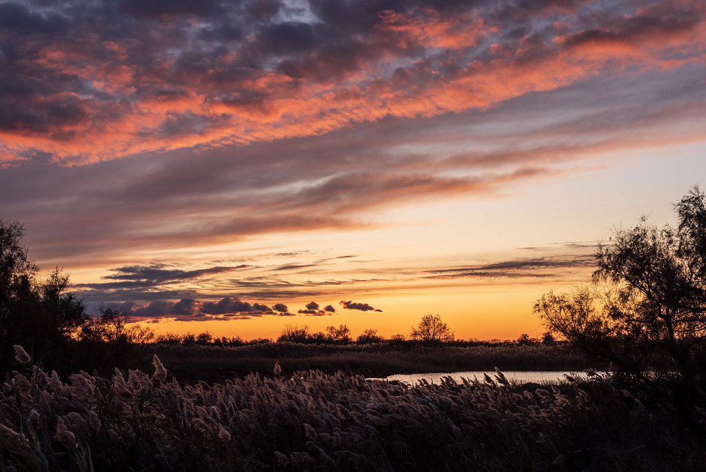 Qu’est-ce que la Communauté d’Agglomération Arles Crau Camargue Montagnette