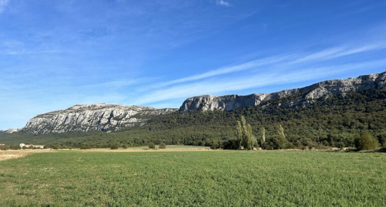 paysage de la sainte baume en arriere plan