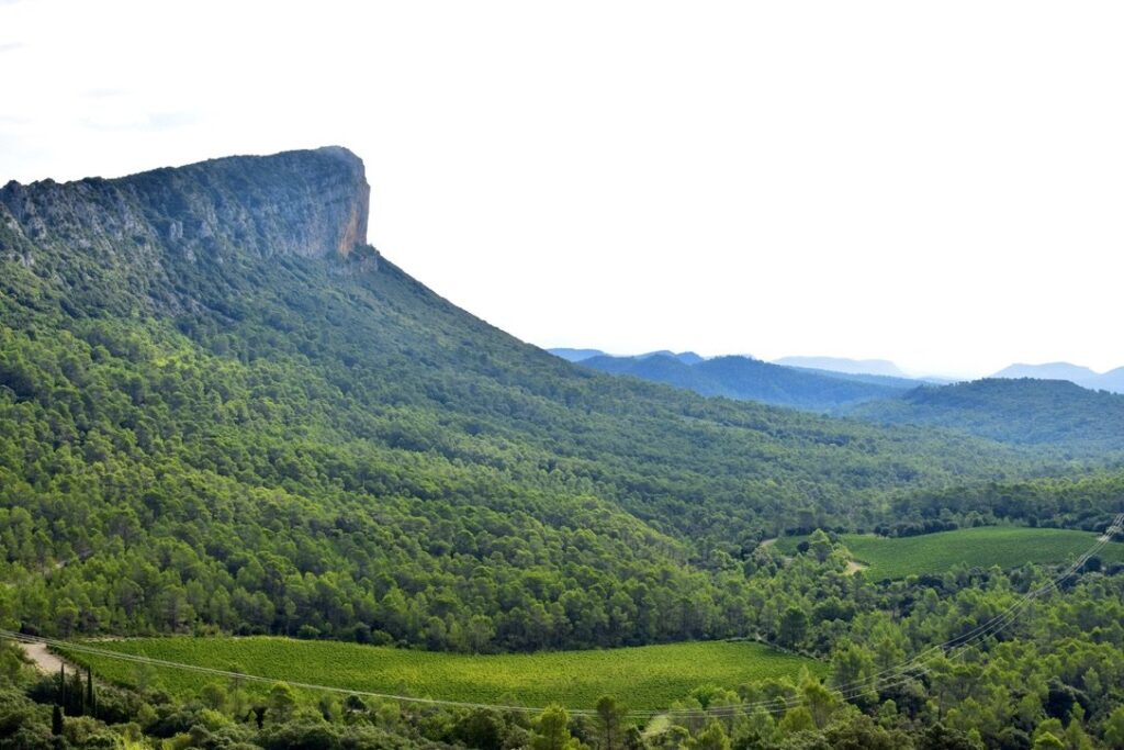 Quelle est la beauté et les activités à découvrir dans la région du Pic Saint Loup 4 Quelle est la beauté et les activités à découvrir dans la région du Pic Saint Loup