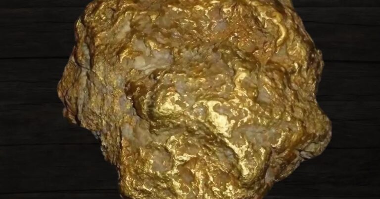 Quelle est la plus grosse pépite d'or jamais trouvée dans le monde 21 pepite dor geante sur fond naturel