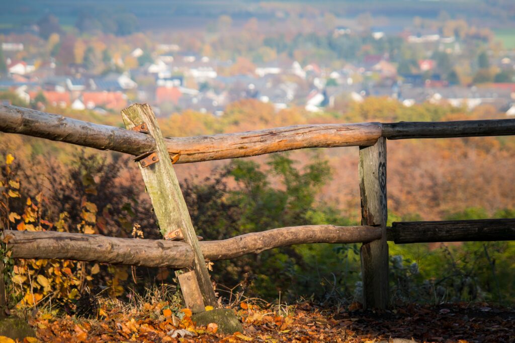 Comment récupérer un poteau en bois EDF pour votre projet