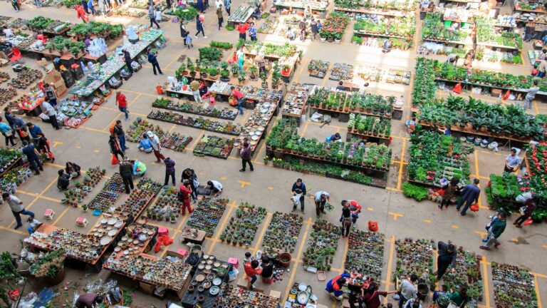 produits chinois en magasin clients evaluant