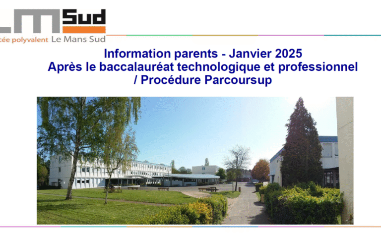 quelles sont les options denseignement au lycee polyvalent le mans sud