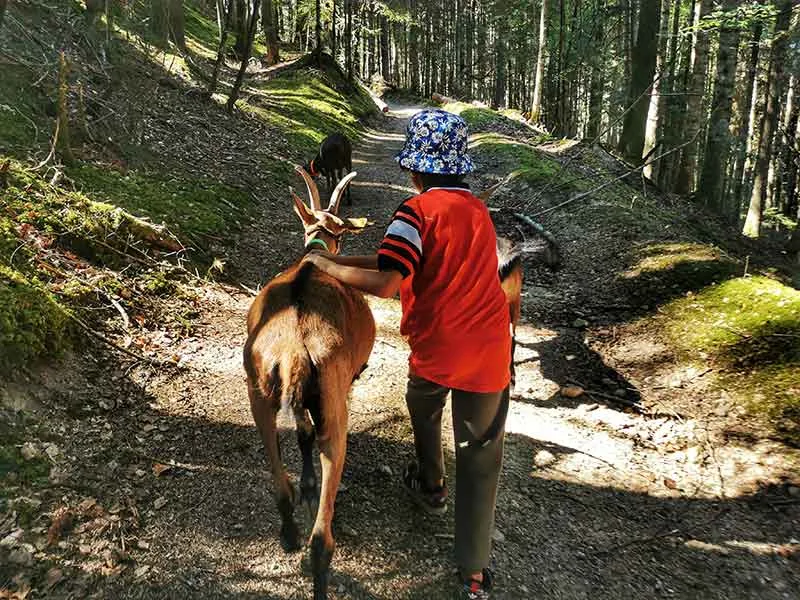 Quelles sont les meilleures activités à faire dans le Parc Naturel du Livradois-Forez 8 Quelles sont les meilleures activités à faire dans le Parc Naturel du Livradois-Forez