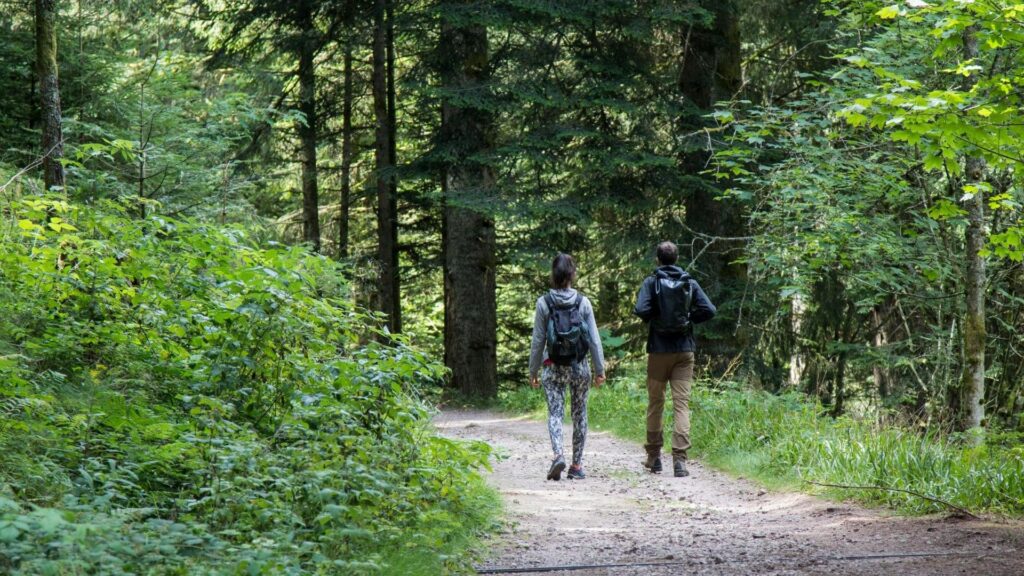 Que faire à Saint-Dié-des-Vosges pour une journée d'action 3 Que faire à Saint-Dié-des-Vosges pour une journée d’action