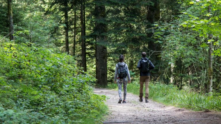 randonnee en montagne a saint die des vosges