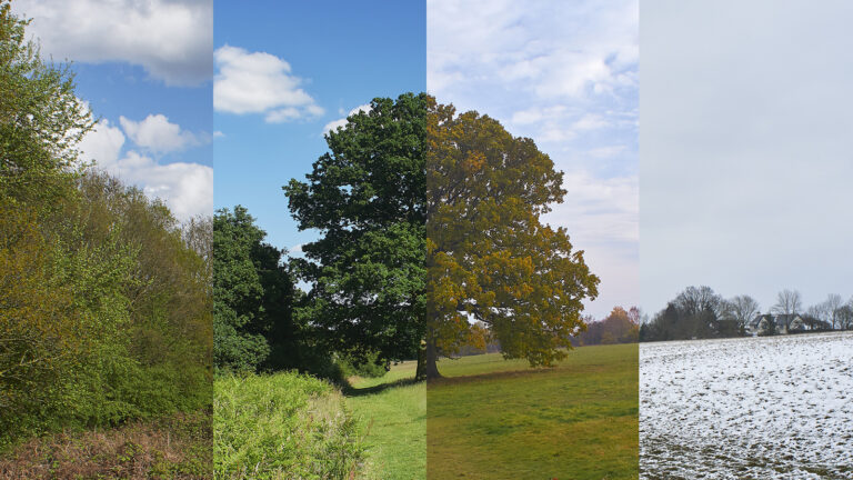 trois mois en pleine nature