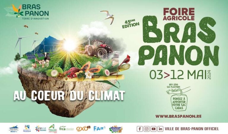 un bras panon en pleine nature reunionnaise