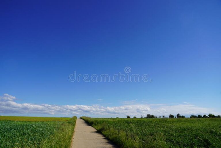 un chemin qui setend vers lhorizon