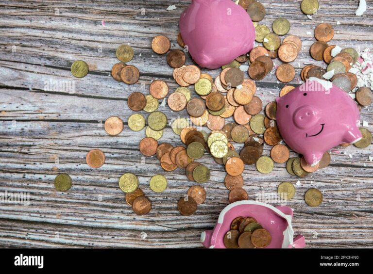 un cochon tirelire plein de pieces