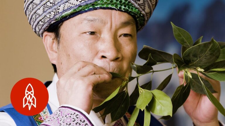 une personne feuilletant des scripts de theatre