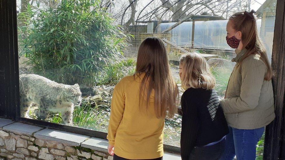 Quand le zoo de Vincennes va-t-il rouvrir ses portes au public