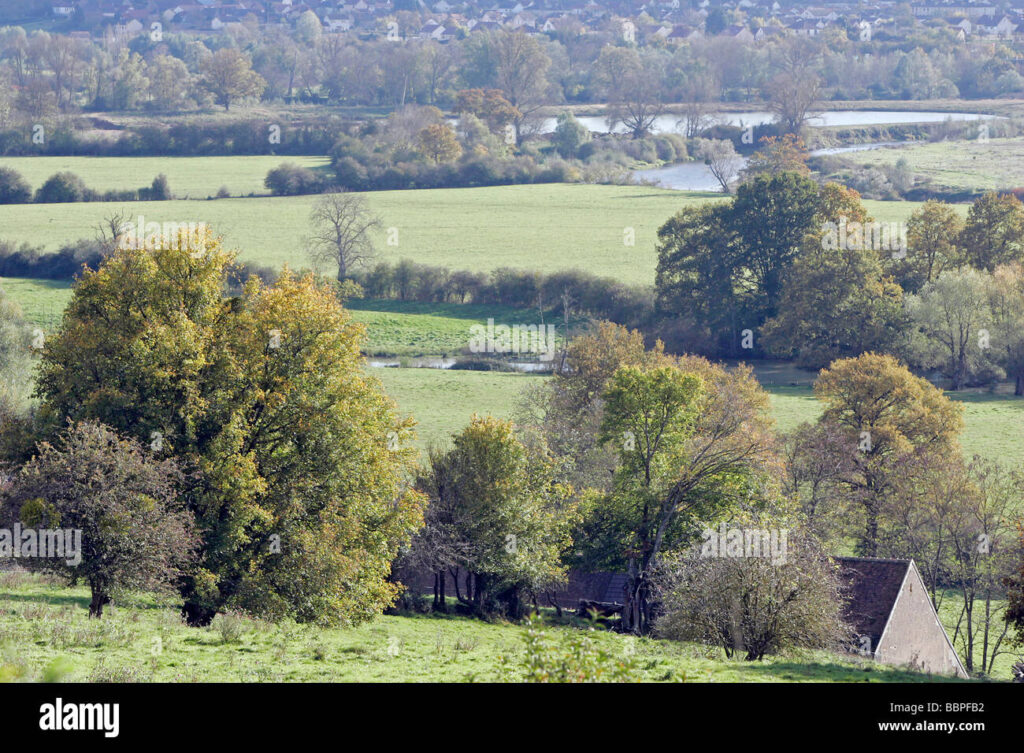 Pourquoi choisir Saint-Amand-Montrond pour vivre dans le Cher